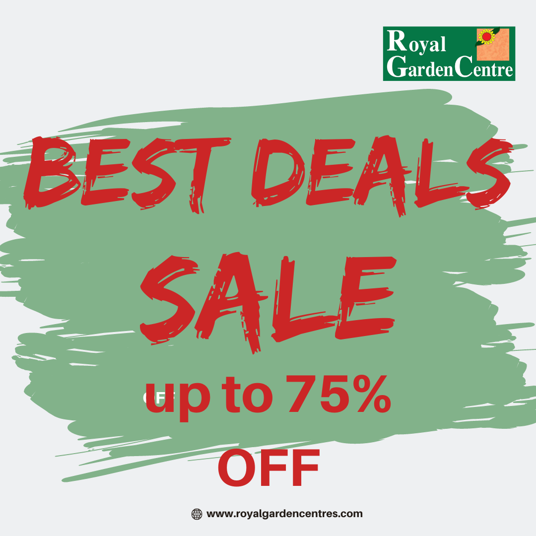 BEST DEALS – Royal Garden Centre