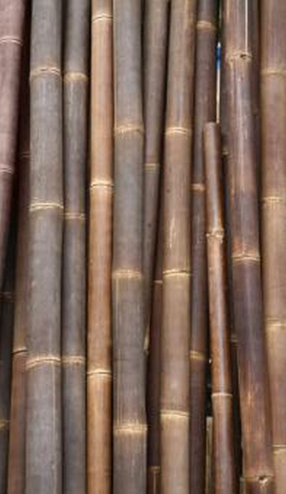 Black Bamboo Stick 180cm Height