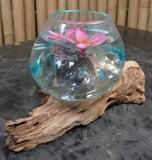 Driftwood With Melted Glass 15cm Height