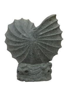 Ancient Artifact Nautilus Shell Basanite Stone With Base 50cm Height