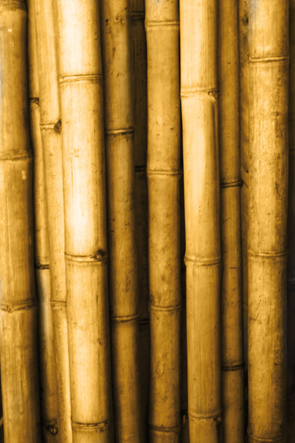 Bamboo Stick 200cm Height
