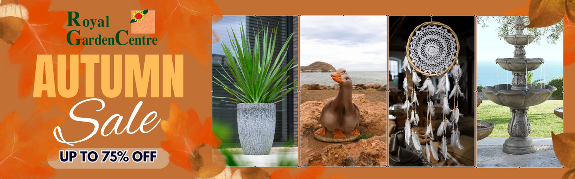 The UAE's Best Garden Centre – Royal Garden Centre