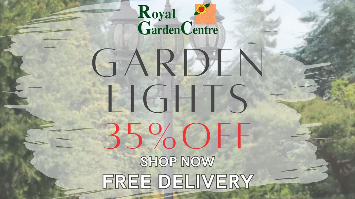 Garden Center Selling Decorative Garden Products Across the UAE – Royal Garden Centre