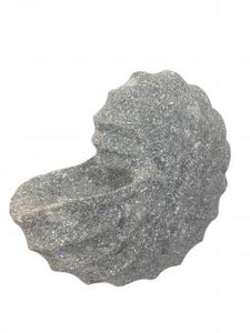 Ancient Artifact Nautilus Shell Basanite Stone 15cm Length