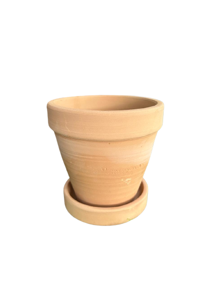 Round Terracotta Pot With Removable Tray 15cm Height