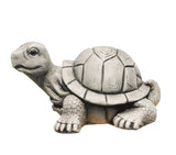 Tuga Tortuga Grande Musgo