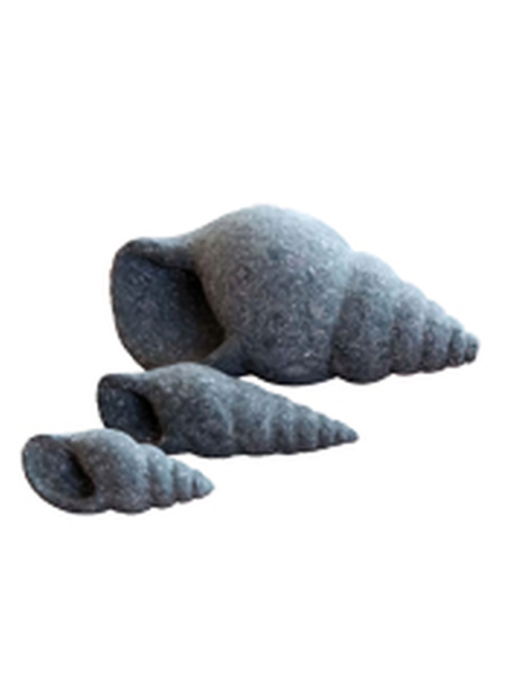 Snail-Shell-Basanite-Stone-20cm-Height-Cst-Snailh
