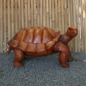 Turtle Statue Carved From Suar Wood 80cm Length H2 TURTLE 080NA