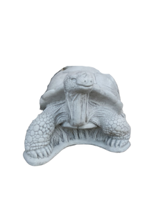 Medium Turtle Cast Stone Statue Pompeii Ash Finish