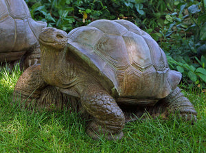Medium Turtle Cast Stone Statue Relic High Tone Realistic Finish