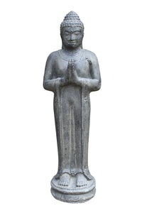 Indian Standing Buddha Cast Stone 50cm Height P Stb 100AAF