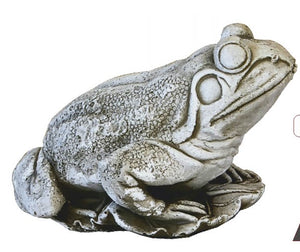 Rana Ceniza Concrete Frog Spout