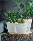 Splofy Weave Designed Plastic Plant Pot White DSP400