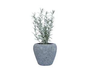 Round-pot-basanite-stone-pot-15cm-height-CST-MOD$$-P12