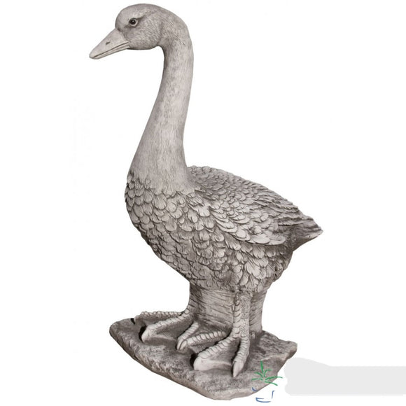 Rina Pato Concrete Duck Statue Musgo